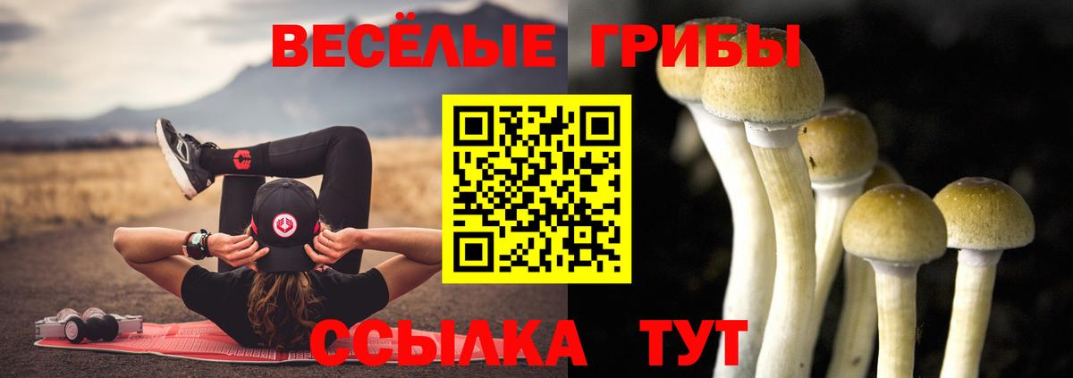Псилоцибиновые грибы GOLDEN TEACHER Великий Новгород